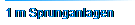 1 m Sprunganlagen