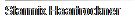Starmix Haartrockner
